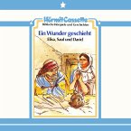 Ein Wunder geschieht - Elisa, Saul und David (MP3-Download)