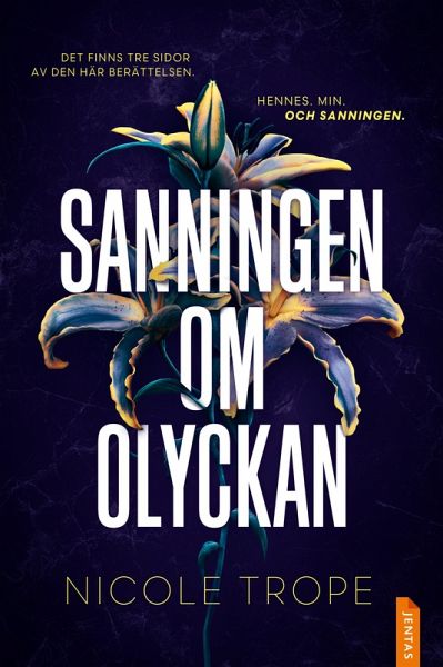 Sanningen om olyckan (eBook, ePUB) Sanningen om olyckan (eBook, ePUB)