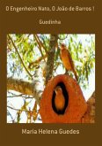O Engenheiro Nato, O João De Barros ! (eBook, PDF)