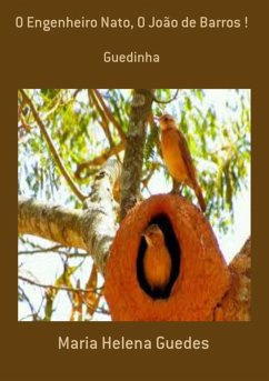 Cover O Engenheiro Nato, O João De Barros ! (eBook, PDF)