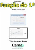 Estudando Função Do 1º Usando O Visual Basic (eBook, PDF)