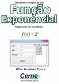 Calculando A Imagem De Uma Função Exponencial Programado Em Visual Basic (eBook, PDF)