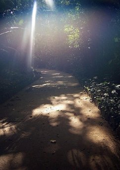 Cover Essências (eBook, PDF)