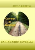 Garimpando Estrelas (eBook, ePUB)