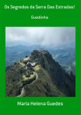 Os Segredos Da Serra Das Estradas! (eBook, PDF)