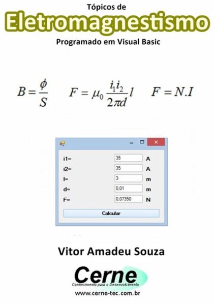 Tópicos De Eletromagnestismo Programado Em Visual Basic (eBook, PDF)