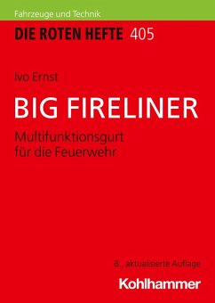 Cover BIG FIRELINER (eBook, PDF)