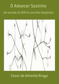 O Adoecer Sozinho (eBook, PDF)