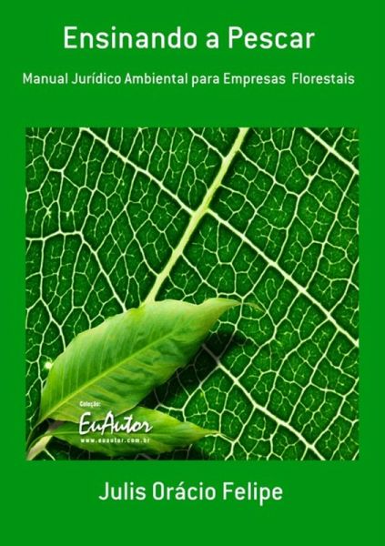 Ensinando A Pescar (eBook, PDF)