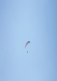 Cover Maneja (eBook, PDF)