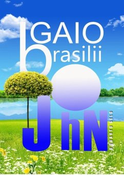 Cover John - O Quarto Selo (eBook, PDF)