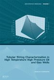 Tubular String Characterization in High Temperature High Pressure Oil and Gas Wells (eBook, ePUB)