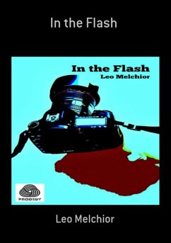 Cover In The Flash (eBook, ePUB)