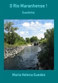 O Rio Maranhense ! (eBook, PDF)