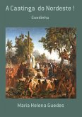 A Caatinga Do Nordeste ! (eBook, PDF)