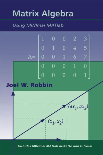 Matrix Algebra Using MINimal MATlab (eBook, ePUB) Matrix Algebra Using MINimal MATlab (eBook, ePUB)
