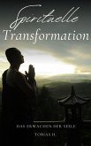Spirituelle Transformation - das Erwachen der Seele (eBook, ePUB)