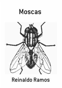 Cover Moscas (eBook, PDF)
