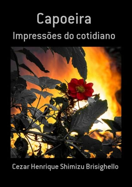 Capoeira (eBook, ePUB)