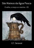 São Mateus Da Água Pouca (eBook, PDF)