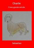 Charlie (eBook, PDF)