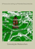 À Procura De Jonhny Na Pirâmide Desconhecida (eBook, PDF)