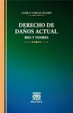 Derecho de daños actual (eBook, PDF)