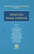 Derecho penal especial (eBook, PDF) - Bild 1