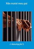 Não Matei Meu Pai (eBook, PDF)