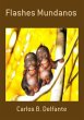 Flashes Mundanos (eBook, PDF) - Bild 1