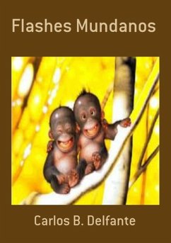 Cover Flashes Mundanos (eBook, PDF)