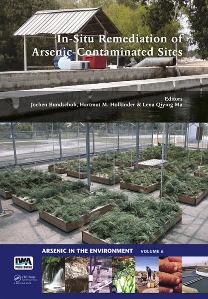 In-Situ Remediation of Arsenic-Contaminated Sites (eBook, ePUB)