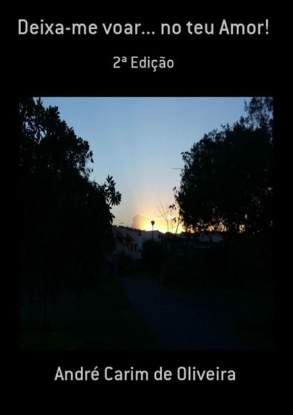 Deixa-me Voar... No Teu Amor! (eBook, PDF)