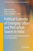 Political Economy of Emerging Urban and Peri-urban Spaces in India (eBook, PDF)
