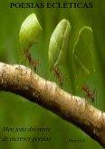 Poesias Ecléticas (eBook, PDF)