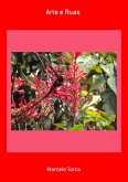 Arte E Ruas (eBook, PDF)