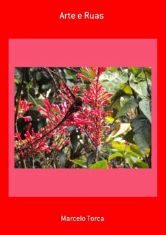 Arte E Ruas (eBook, PDF) - Torca, Marcelo