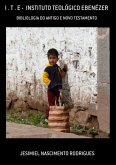 I . T . E - Instituto Teológico Ebenézer (eBook, PDF)