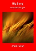 Big Bang (eBook, PDF)