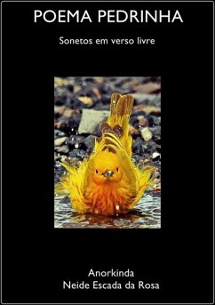 Cover Poema Pedrinha (eBook, PDF)