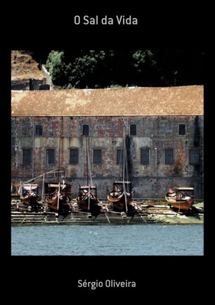 O Sal Da Vida (eBook, PDF)