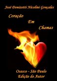 Coração Em Chamas (eBook, PDF)