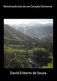 Reminiscências De Um Coração Estivense (eBook, PDF)