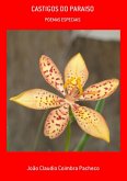 Castigos Do Paraiso (eBook, ePUB)