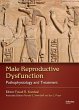 Male Reproductive Dysfunction (eBook,... - Bild 1