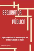 Segurança Pública (eBook, ePUB)