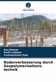 Bodenverbesserung durch Geopolymerisations-technik Bodenverbesserung durch Geopolymerisations-technik