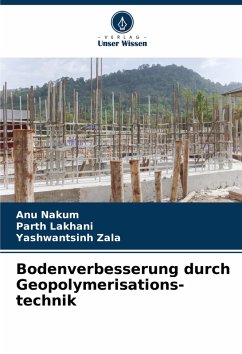 Cover Bodenverbesserung durch Geopolymerisations-technik