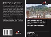 Miglioramento del terreno con la tecnica della geopolimerizzazione Miglioramento del terreno con la tecnica della geopolimerizzazione