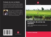Produção de arroz na Gâmbia